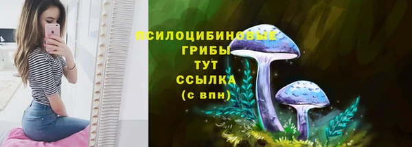 прущие крисы Белоозёрский