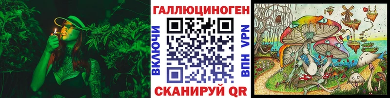 Купить  Чёрмоз  Галлюциногенные грибы Psilocybine cubensis 